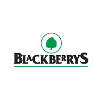 blackberrys-clothing-1
